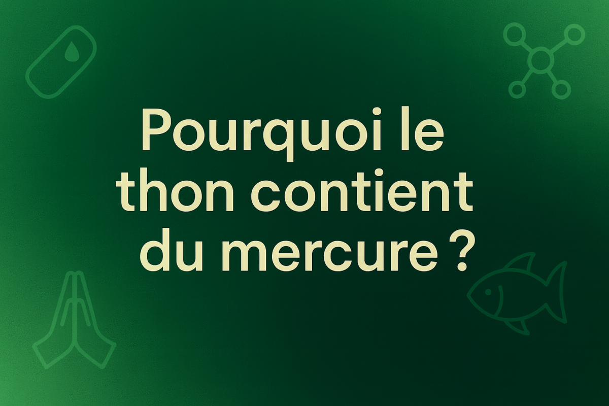Pourquoi le thon contient du mercure​ ?