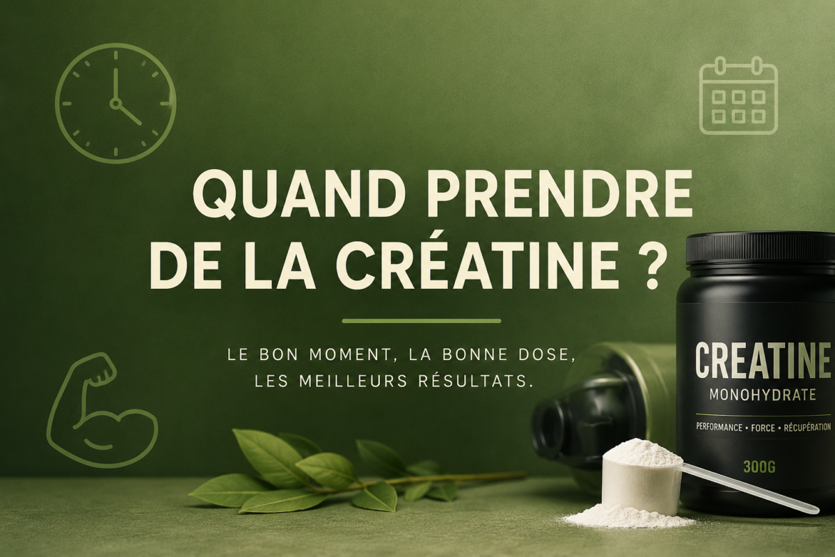 Quand prendre de la créatine ?